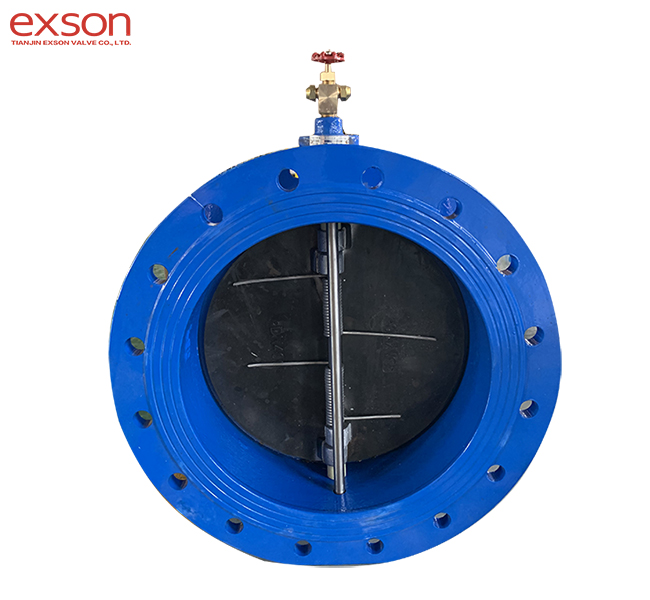 Flange check valve